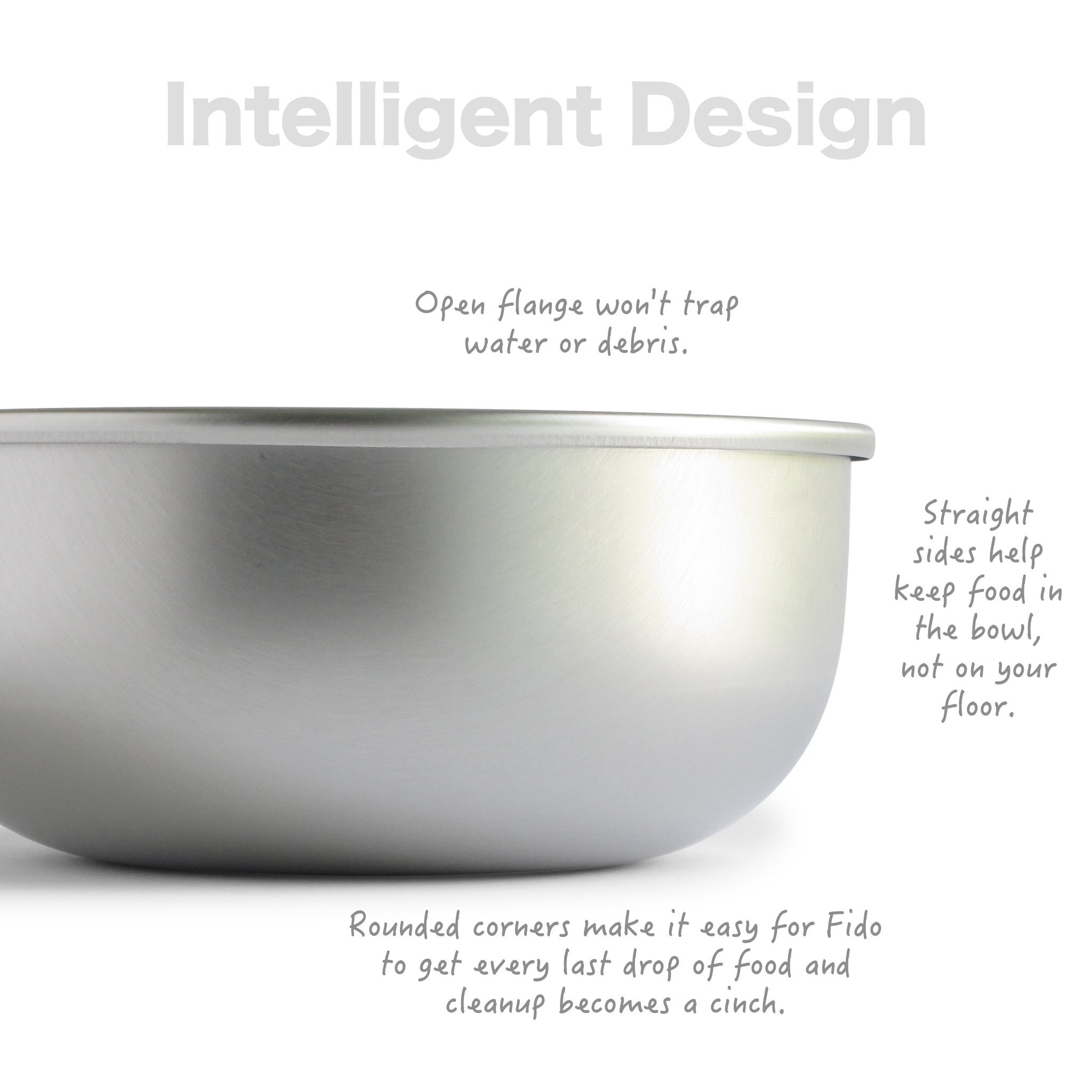 Basis Dog Bowl