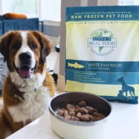 Dog and dog food with dog bowl