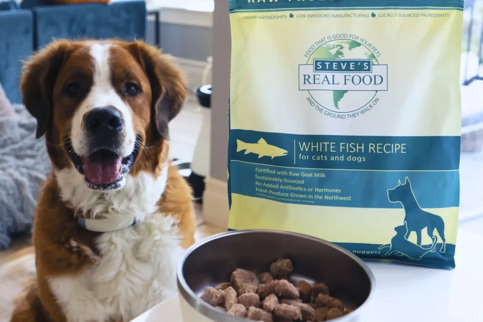Dog and dog food with dog bowl