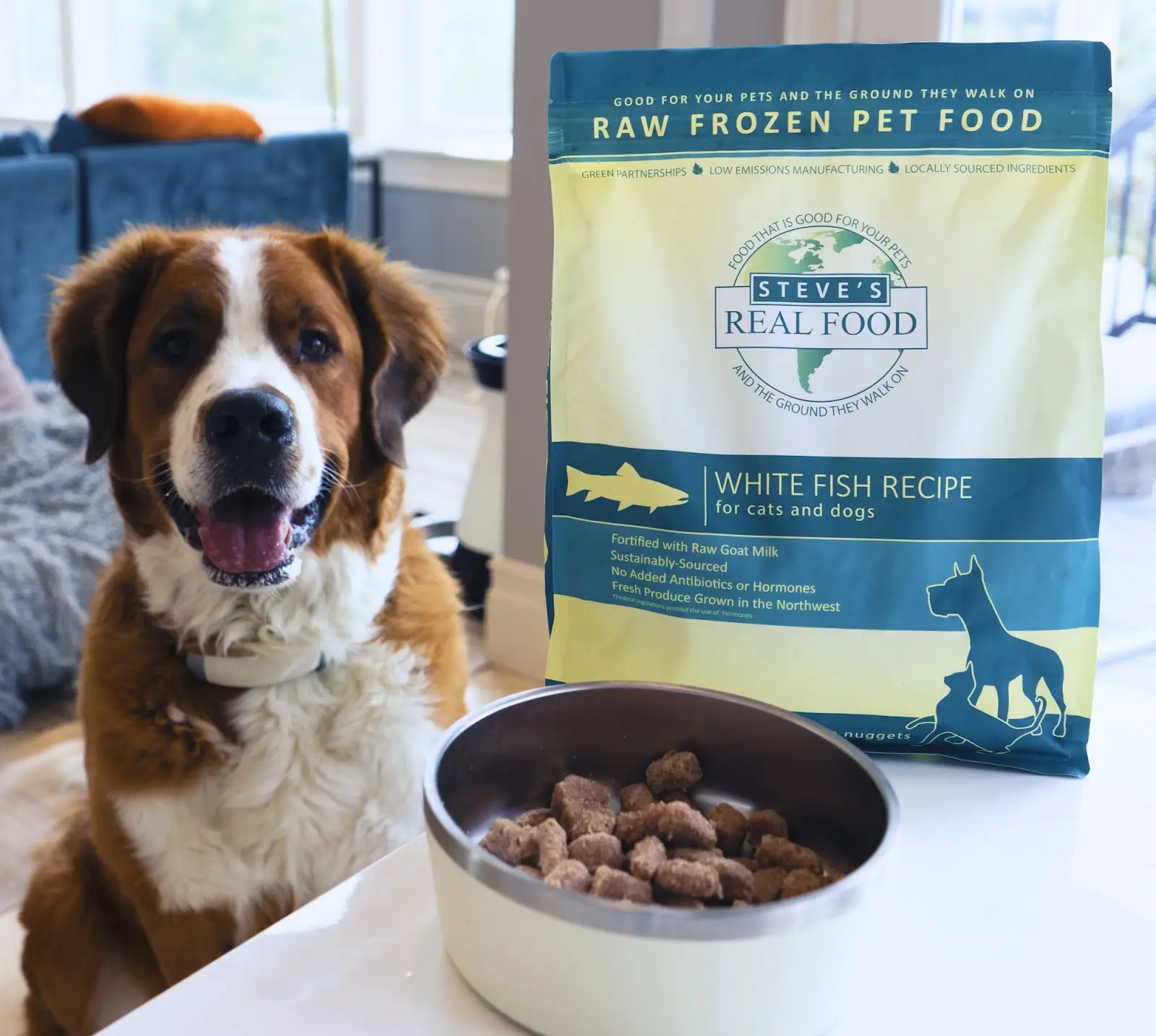 Dog and dog food with dog bowl